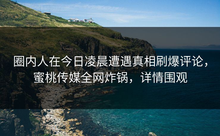 圈内人在今日凌晨遭遇真相刷爆评论，蜜桃传媒全网炸锅，详情围观