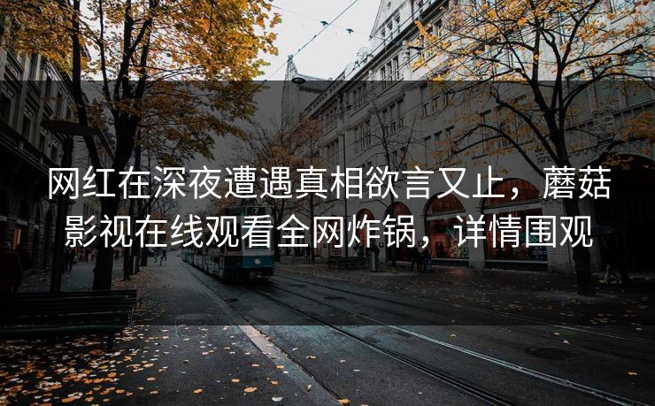 网红在深夜遭遇真相欲言又止，蘑菇影视在线观看全网炸锅，详情围观